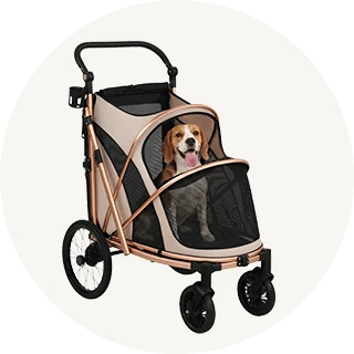 Dog Carriers & Strollers