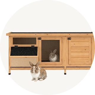 Rabbit Hutch