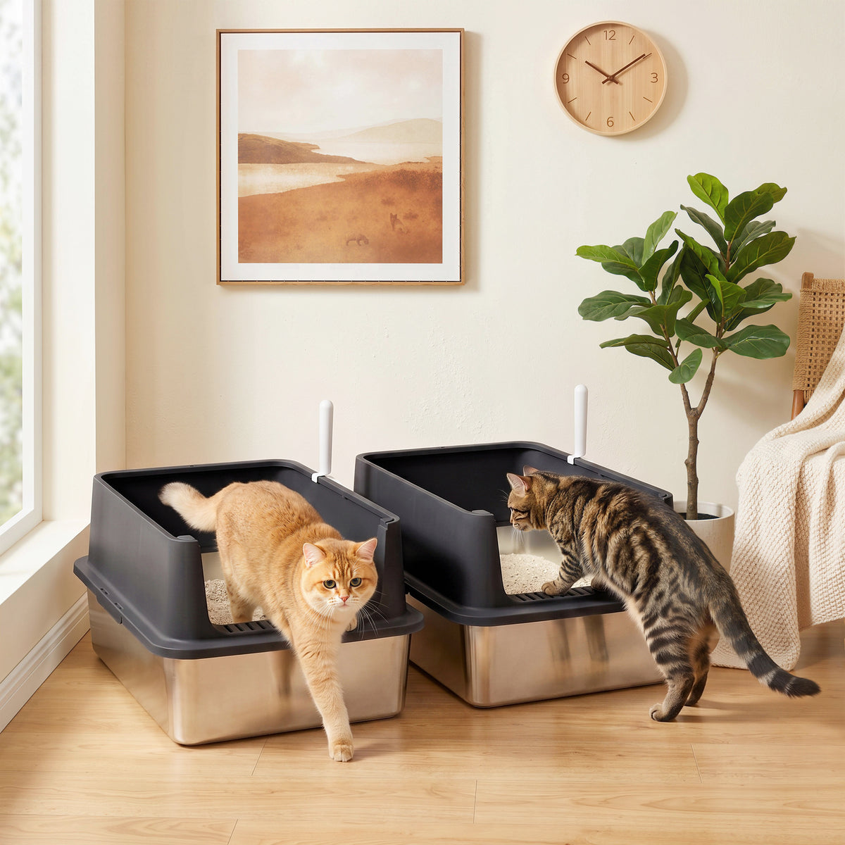 2er-Set Katzenklo Edelstahl XL mit Hohem Rand Deckel 60x40x30cm