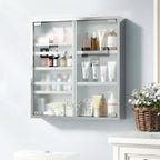 Medizinschrank, Abschließbarer Medikamentenschrank mit 2 Schlüsseln, Glastür und 6 Regalen, 48 x 46 x 12 cm, Silber