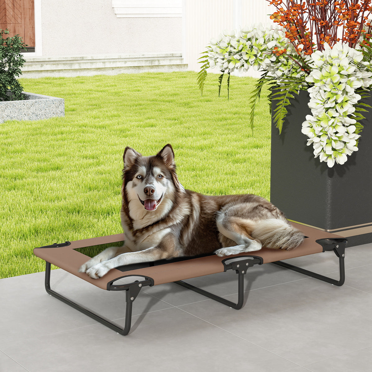 Tragbares erh?htes Hundebett, erh?htes Haustierbett mit atmungsaktivem Netz, f¨¹r gro?e Hunde, Kaffee