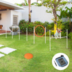 Agility-Set, 5-teilig, inkl. Springhürde, Sprungring, Frisbee, höhenverstellbar, mit Tragetasche
