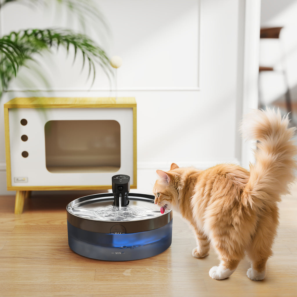 Katzenbrunnen 7L Trinkbrunnen für Katzen mit leiser Pumpe LED Aktivkohlefilter Edelstahl 30,6 x 30,6 x 17,2 cm