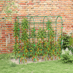 183 cm Tall Metal Garden Trellis, Arch Trellis for Climbing Plants Outdoor with Climbing Net