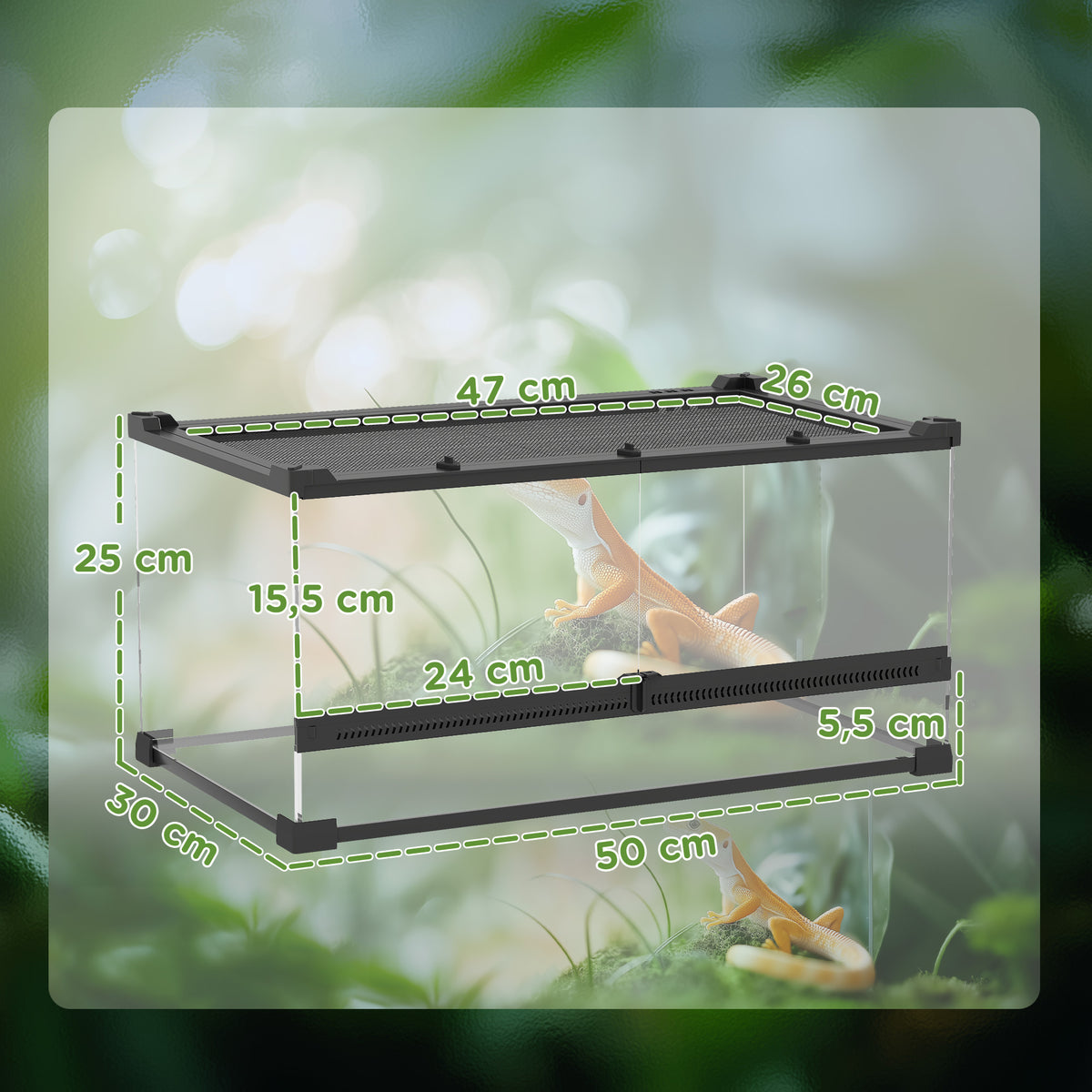 Glas-Terrarium f¨¹r Reptilien, erh?hter & wasserdichter Boden, Knopfschloss
