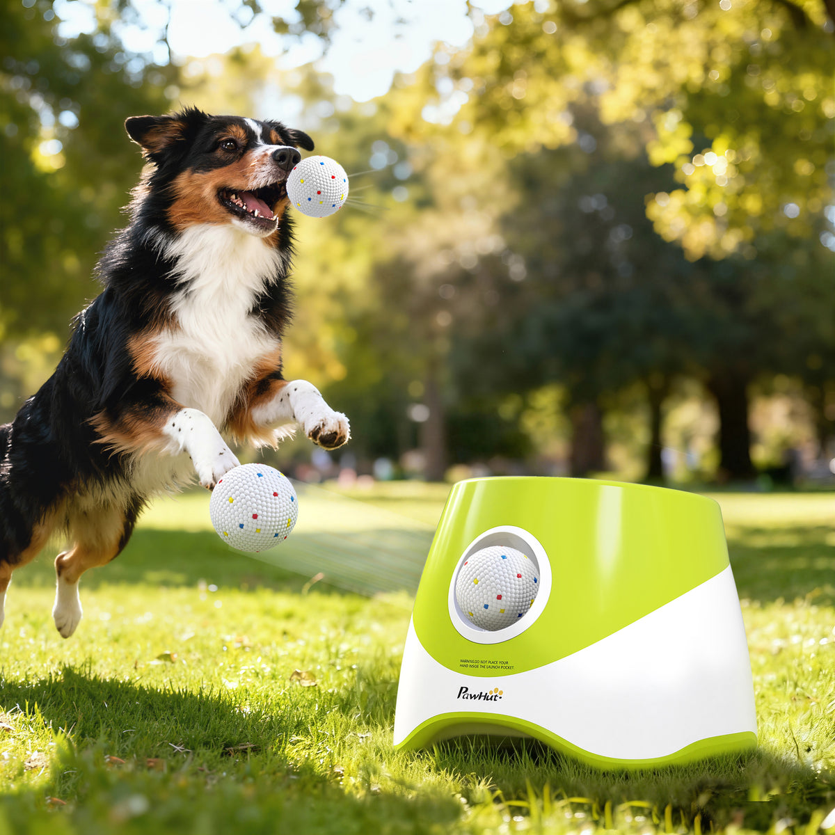 Automatischer Ballwerfer Interaktive Ballwurfmaschine mit 3 Bälle 3 Distanzen 6m/10 m/14m für kleine mittlere Hunde Grün