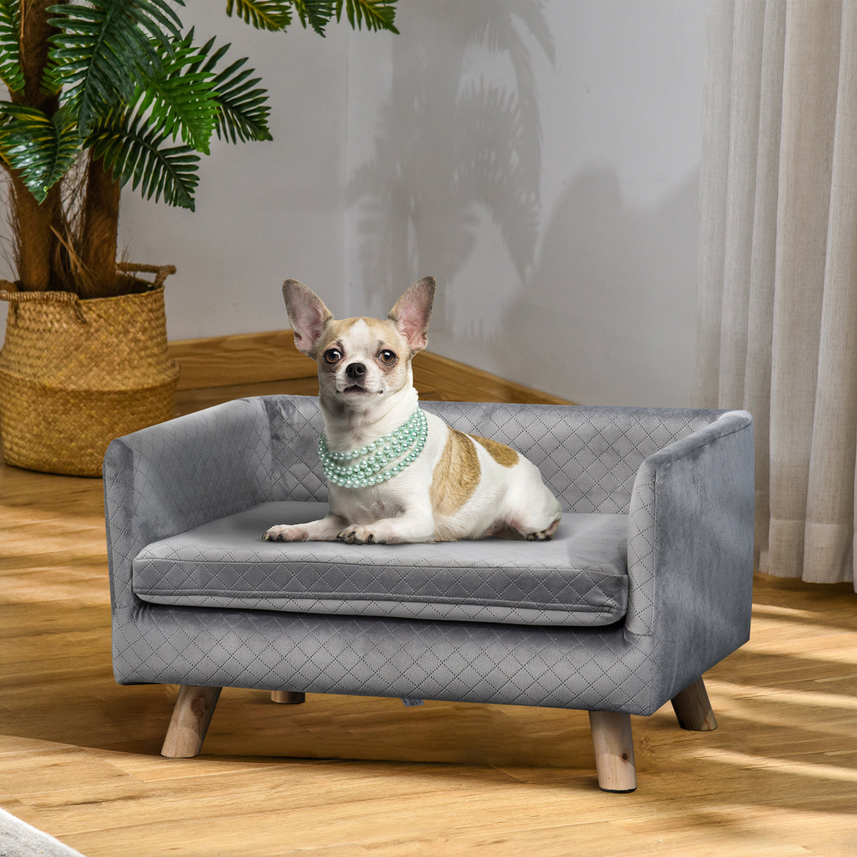 Hundesofa Hundebett Hundecouch aus Samt mit Rückenlehne, Holzbeine, Kissen, Katzensofa mit weicher Polsterung, für kleine Hunde 64 x 45 x 36 cm Dunkelgrau