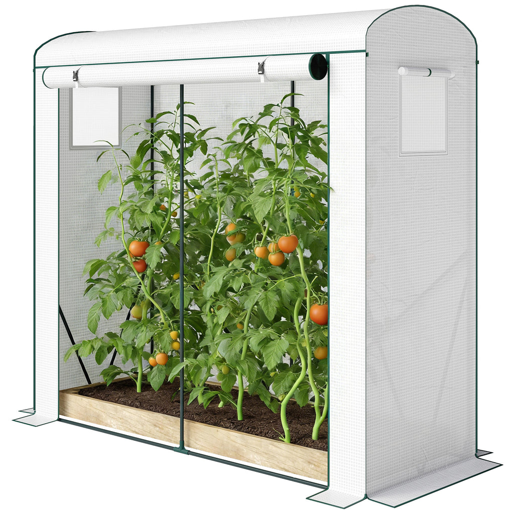 Mini Greenhouse, Garden Tomato Growhouse with Roll-Up Door and 2 Mesh Windows, PE Cover, 200 x 75 x 188 cm, White