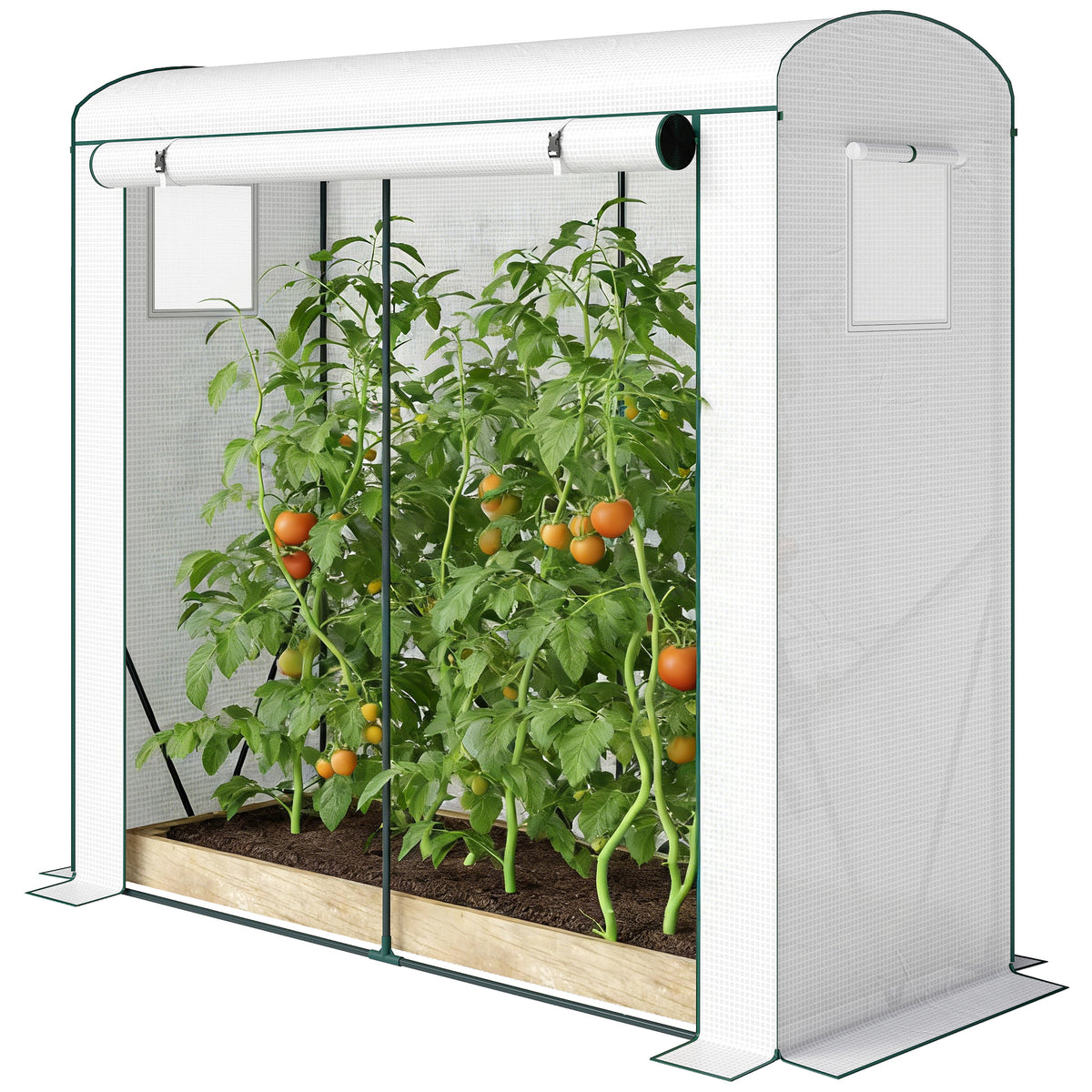 Mini Greenhouse, Garden Tomato Growhouse with Roll-Up Door and 2 Mesh Windows, PE Cover, 200 x 75 x 188 cm, White