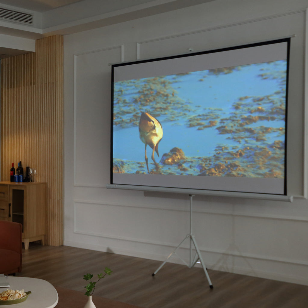 Projektionsleinwand im 4:3-Format, Kinoleinwand, Pr?sentationsfl?che f¨¹r Zuhause oder B¨¹ro, Wei?