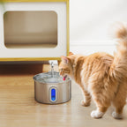 Katzenbrunnen 2,5L Trinkbrunnen für Katzen mit leiser Pumpe LED Aktivkohlefilter 19,4 x 19,4 x 18,7 cm