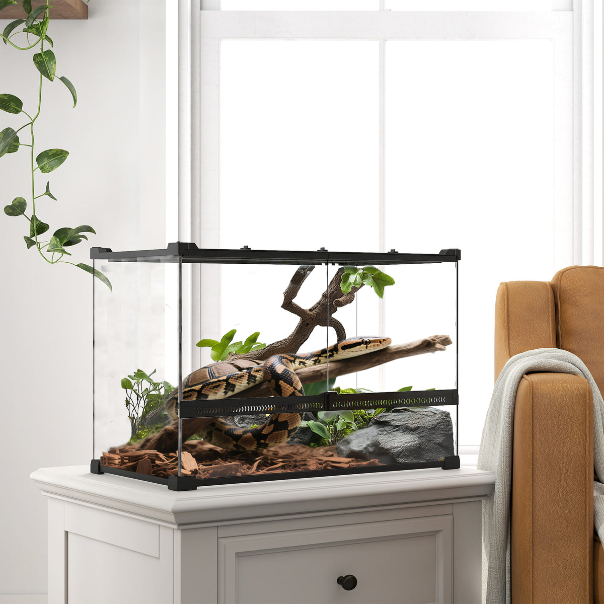 Glas-Terrarium f¨¹r Reptilien, erh?hter & wasserdichter Boden, Knopfschloss