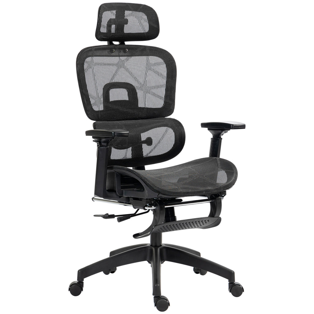 Multi-Adjustable Mesh Office Chair - Black