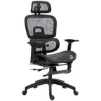Multi-Adjustable Mesh Office Chair - Black