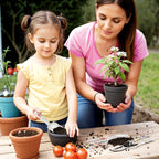 Gartenwerkzeug Set 3 St¨¹ck Garten Werkzeug aus Metall mit Blumenkelle Handrechen Gartenschere