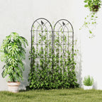 Set of 2 Garden Trellis, Metal Fence Panels for Climbing Outdoor Plants, Flowers, 150 x 50cm