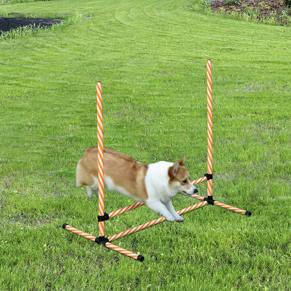  Agility Set Hunde, 6tlg. Agility-Ausrüstungs-Set mit Flechtstangen, Pfeife, Hundetraining Zubehör mit Tragetasche, für Park, Garten, Orange