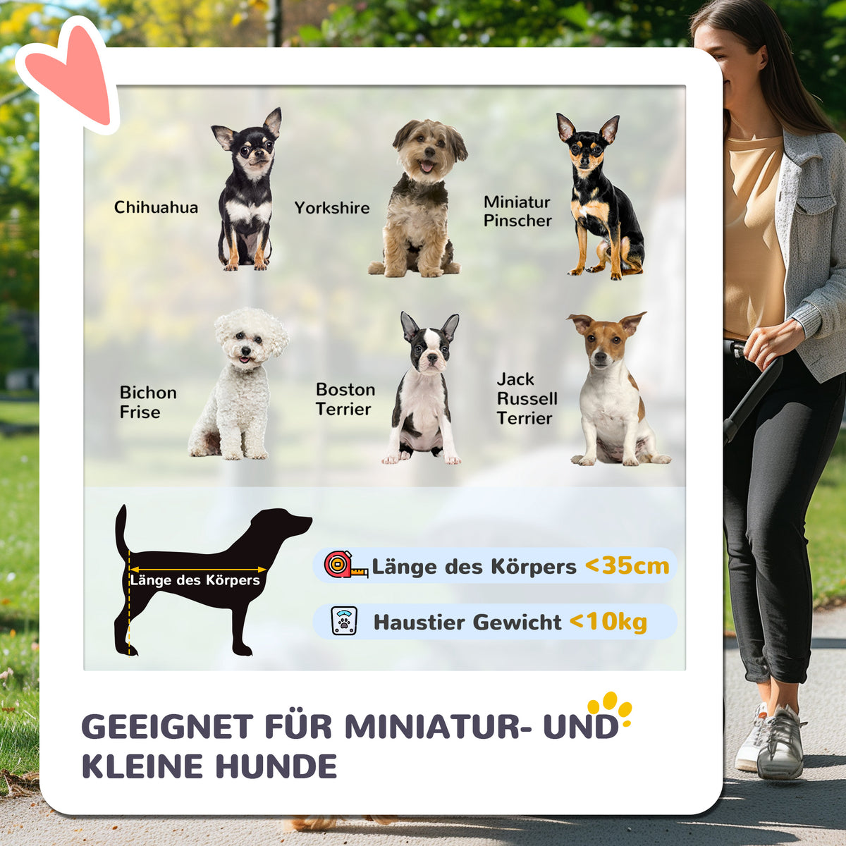 Hundewagen Hundebuggy klappbar für Hunde & Katzen bis 10 kg 75 x 45 x 97 cm Dunkelgrau