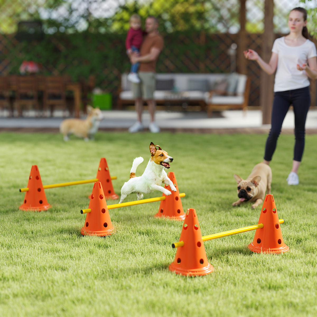 Dog Agility Equipment Set of Six Cones, Six Poles with Carry Bag, Three-Piece Adjustable Height Jumping Obstacles Orange