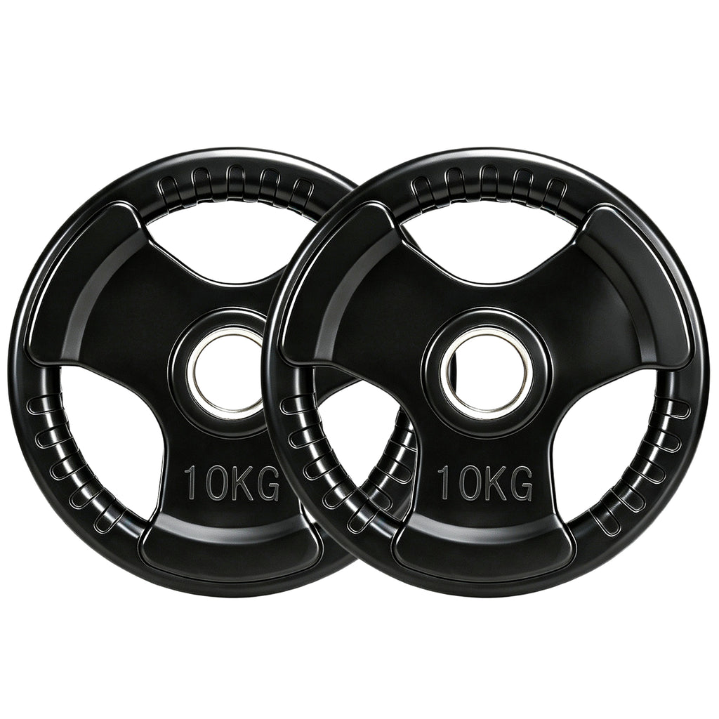 Hantelscheibe, 2er-Set, 10 kg pro Scheibe, drei Griffe, bodenschonender Gummimantel, Metall