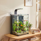 Aquarium Komplettset 36L Nano Aquarium mit LED-Beleuchtung Filtersystem Pumpe Zirkulation 30 x 30 x 45,5 cm Schwarz