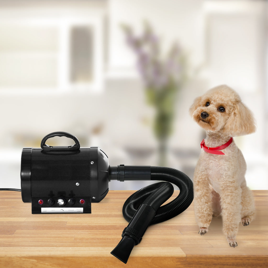 Hundefön Blower 2800W Hundetrockner mit Einstellbarer Geschwindigkeit, Temperaturstufen, 3 Düsen, Heizung, Tierhaartrockner Pet Dryer für Hunde Katzen Haustiere