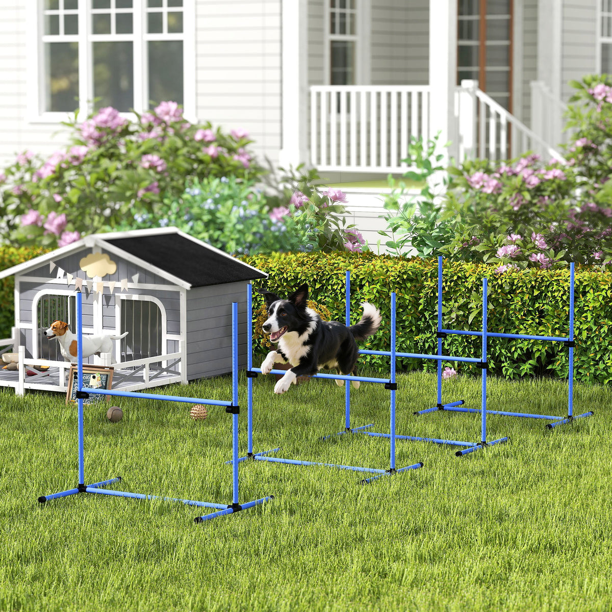 Agility Set Hunde 4-teiliges höhenverstellbar Agility-Ausrüstung Sprungstangen-Set Steckhürdenset mit 4 Hürden Tragetasche Koordinationstraining Sprungstangen-Set für Spiele Training