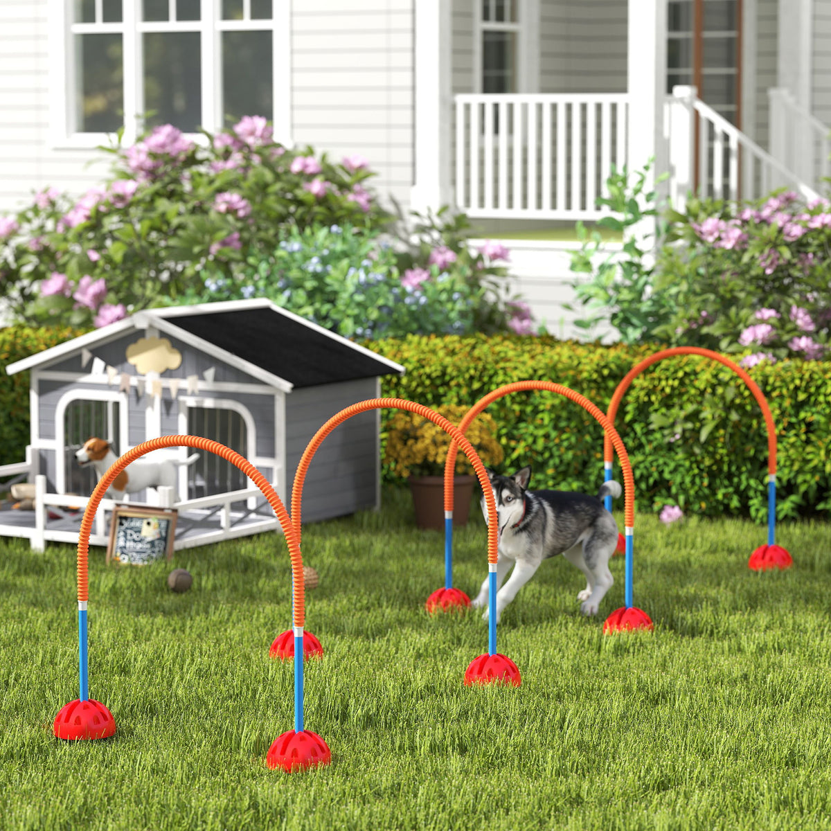 4-teiliges Hunde-Agility-Trainingsgerät mit 4 Türen in verstellbarer Breite, Tragetasche, für Garten, Blau
