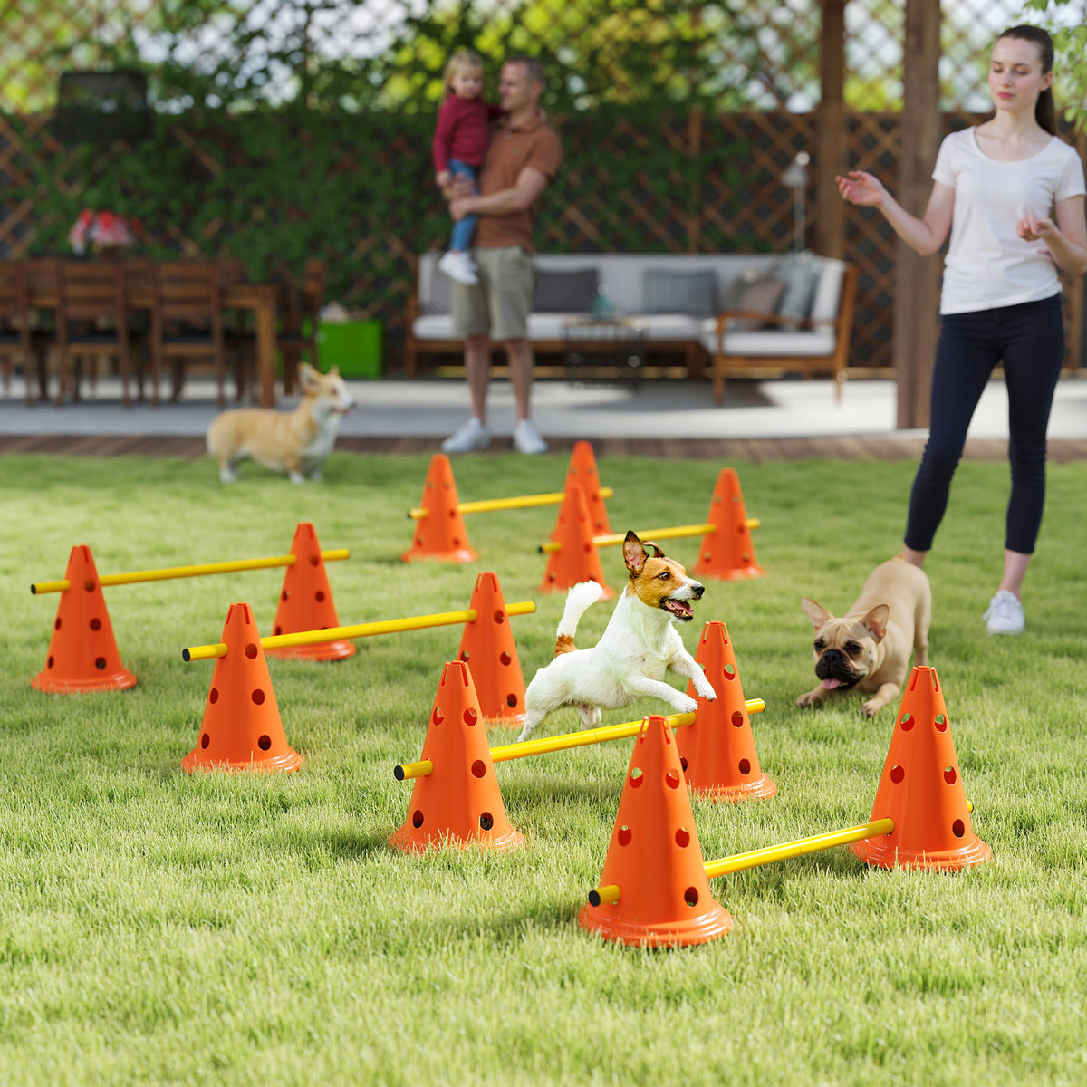 Agility Set Hunde 6-teiliges Agility-Ausrüstung für Hundetraining Steckhürdenset mit 12 Kegel 6 Hürden Tragetasche