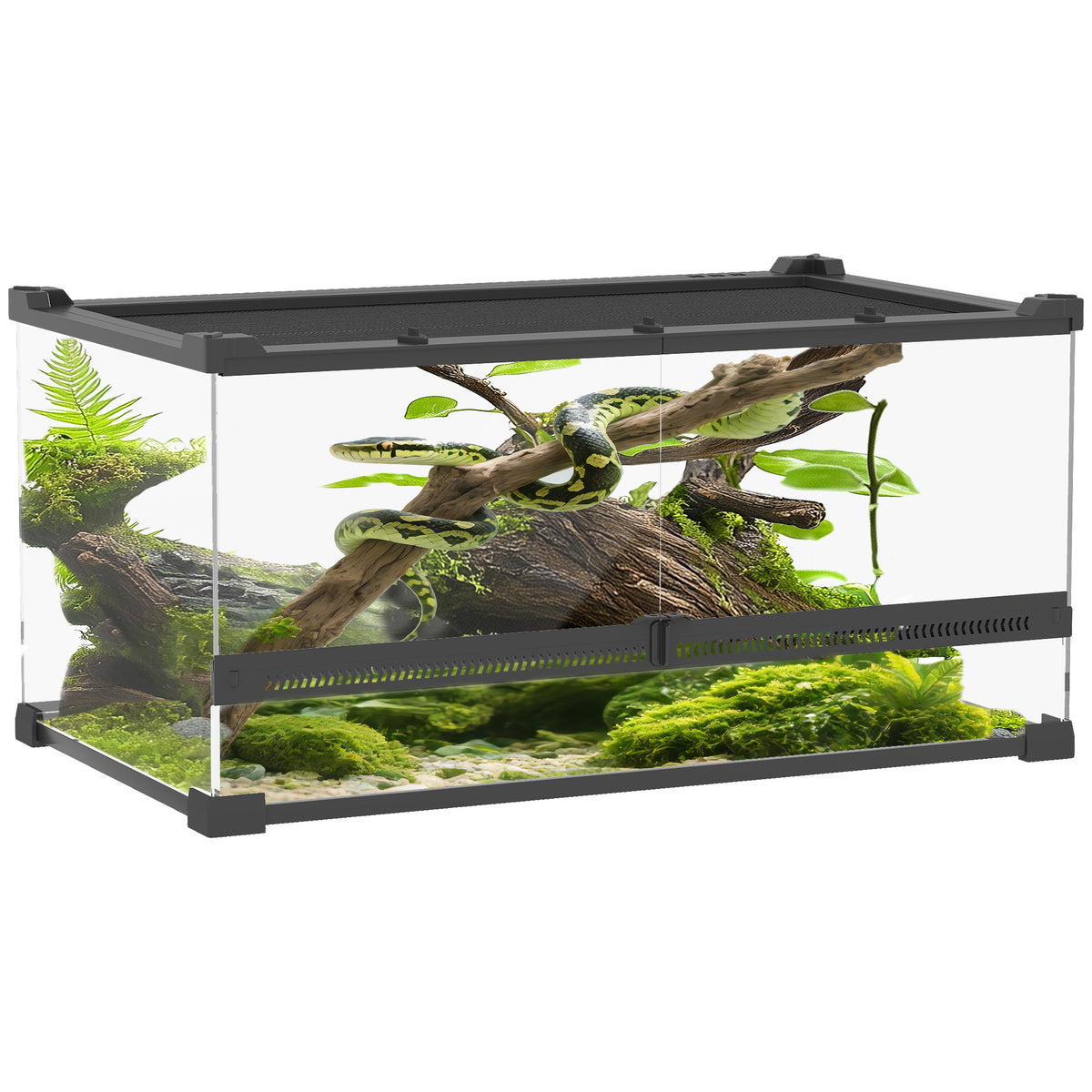 Glas-Terrarium f¨¹r Reptilien, erh?hter & wasserdichter Boden, Knopfschloss