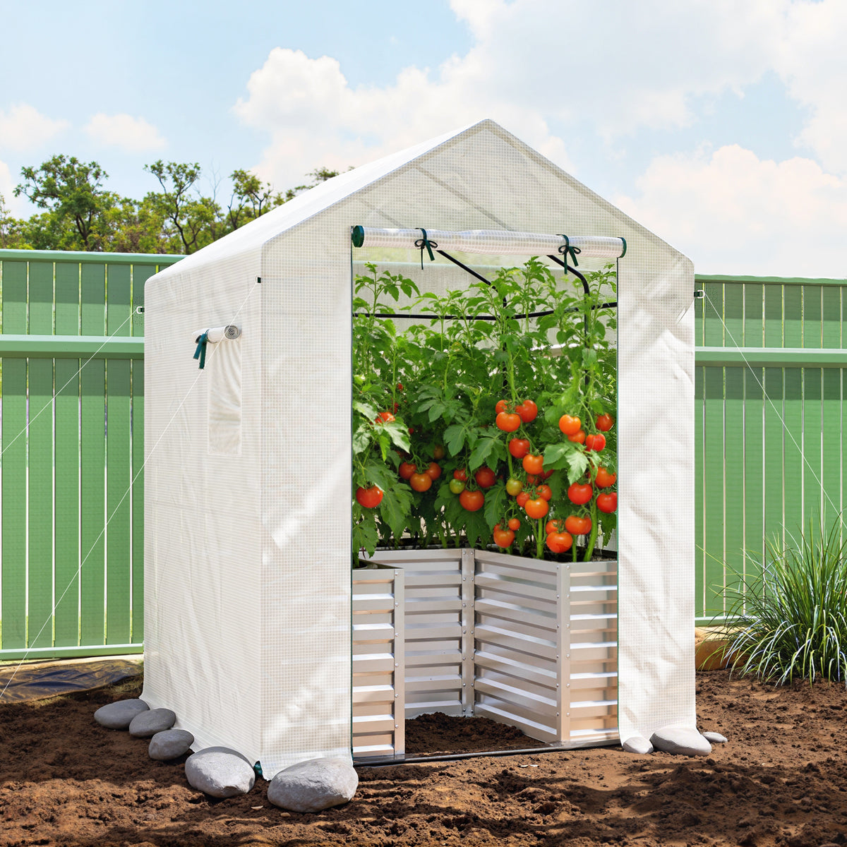 Tomatengewächshaus Foliengewächshaus mit Hochbeet Rolltor Fenster Schrägdach 141 x 141 x 190 cm Weiß