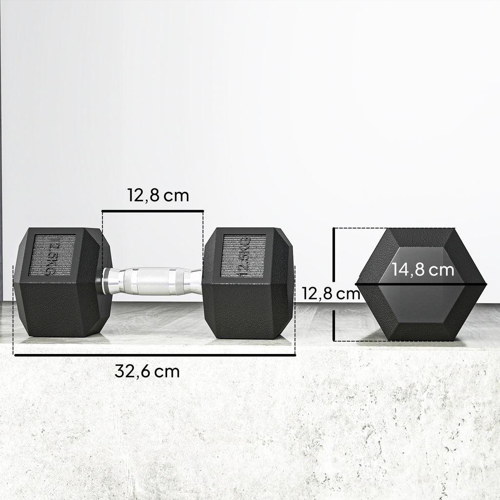 Hanteln mit gerändeltem Griff, Kurzhantel aus Gusseisen, 2 x 12,5 kg für Zuhause, Fitnessstudio, Krafttraining