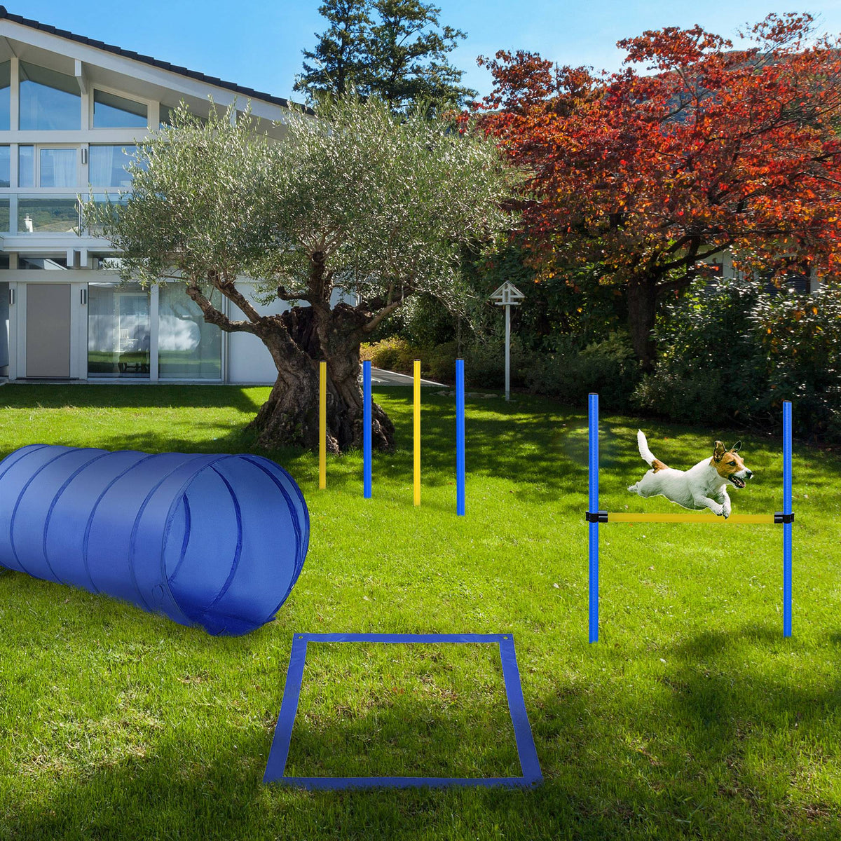Pet Agility Training Equipment Dog Play Run Jump Obedience Training Set Adjustable (Poles + Hurdle + Tunnel + Pause Box)