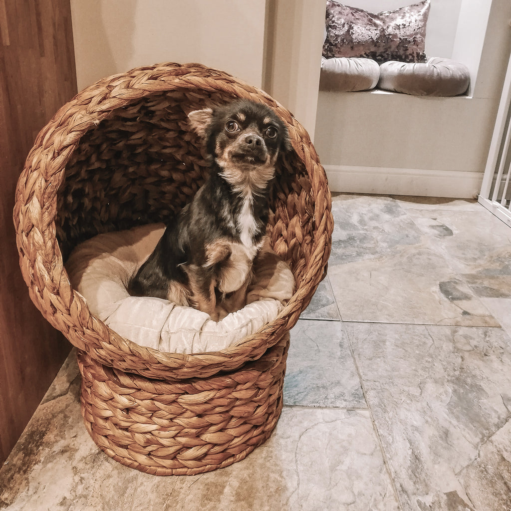 Woven Banana Leaf Elevated Cat Bed Wicker Kitten Basket Pet Den, House Cosy Cave with Soft Cushion Dome 50x42x60cm Brown