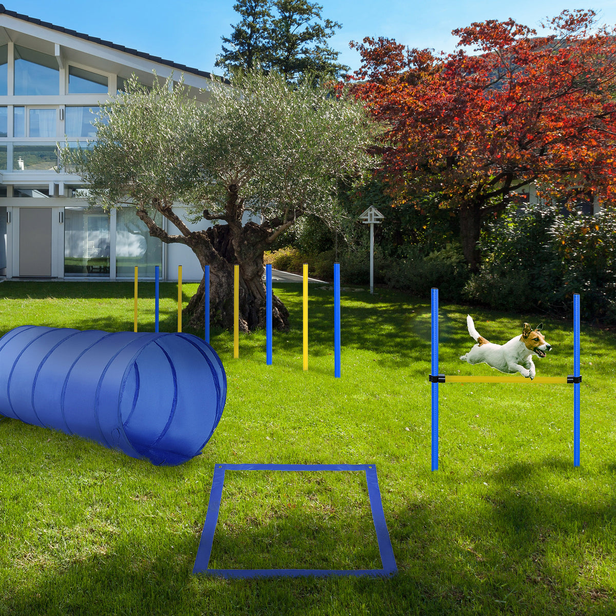 Agility Set Hunde, 4-teiliges Agility Ausrüstung mit Hundetunnel, Hürden, 8 Slalomstangen, Startfeld, Aufbewahrungstasche, Steckhürdenset für Hundetraining, Trainingsset für Hunde Gelb+Blau