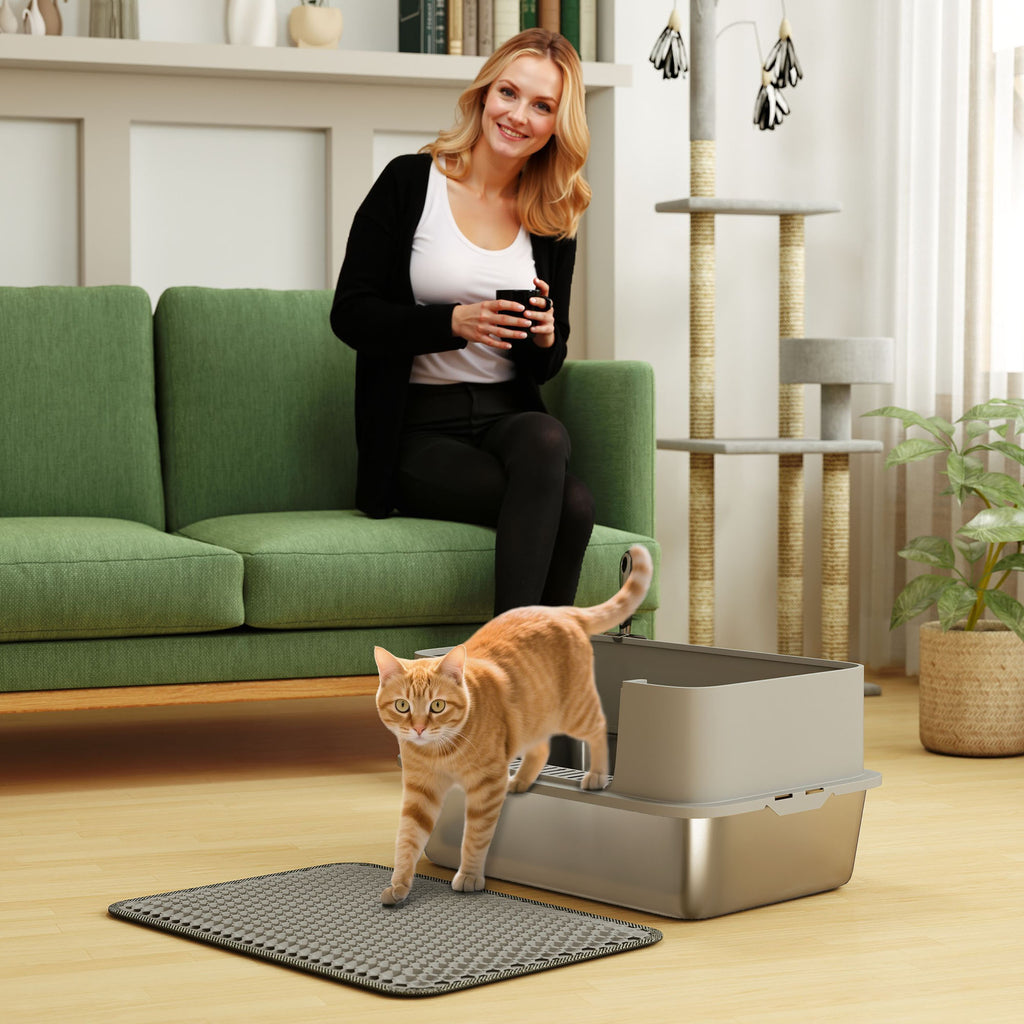 High Sided Stainless Steel Litter Box, Metal Cat Litter Tray with Metal Scoop, Litter Mat, Never Absorbs Odors, Grey