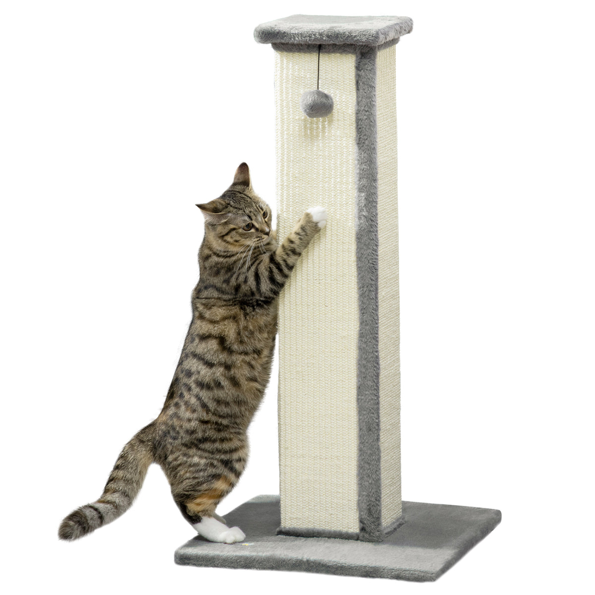 81cm Cat Scratcher, Vertical Full Scratcher w/ Natural Sisal Rope, Hanging Ball, Soft Plush - Grey
