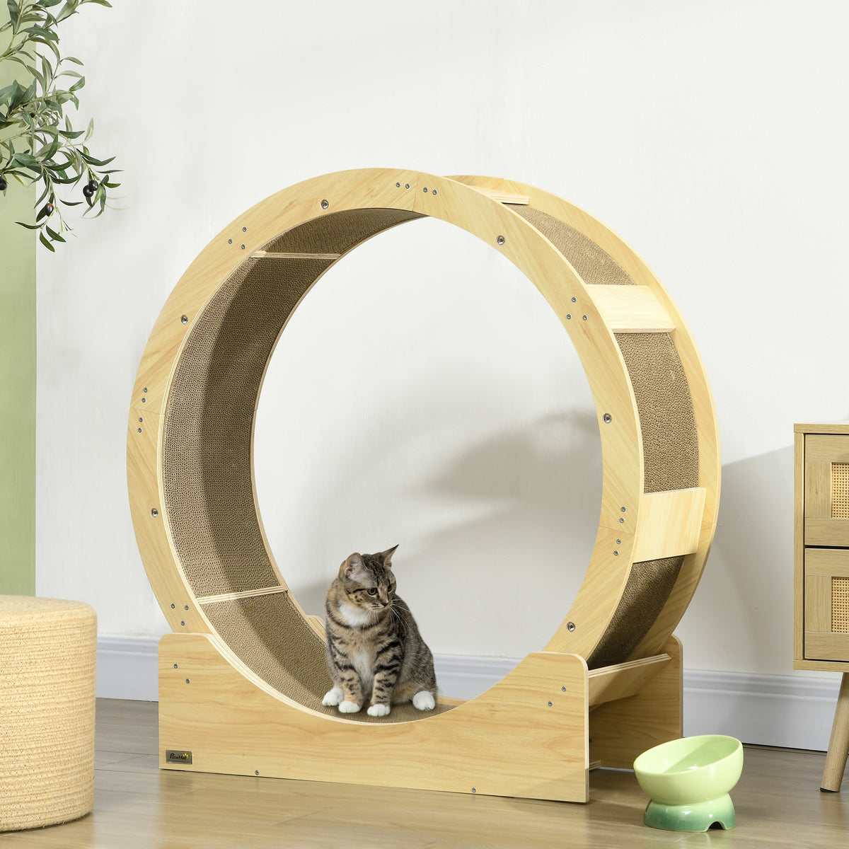 Cat Wheel with Brake, Scratching Pads - Oak Tone