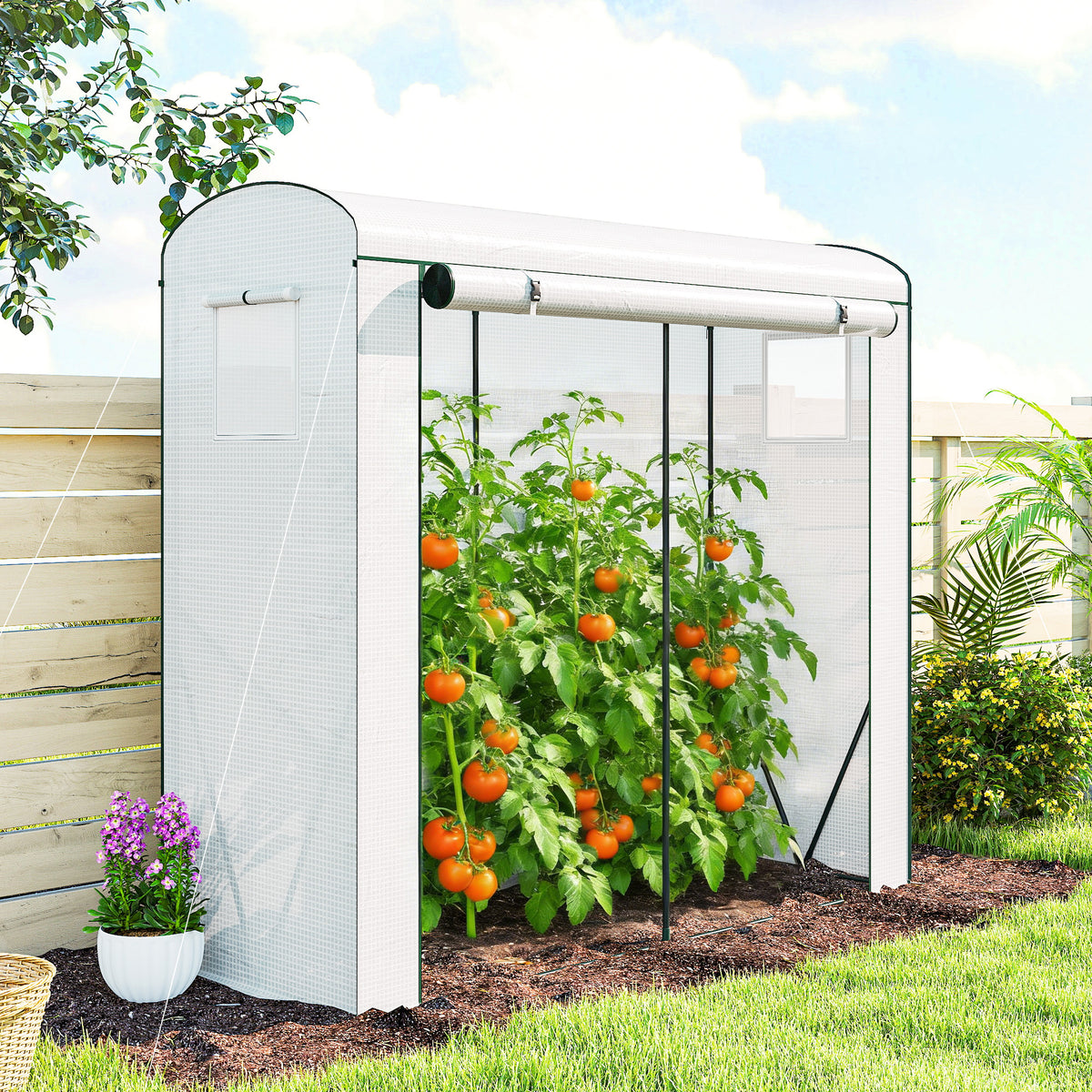 Mini Greenhouse, Garden Tomato Growhouse with Roll-Up Door and 2 Mesh Windows, PE Cover, 200 x 75 x 188 cm, White
