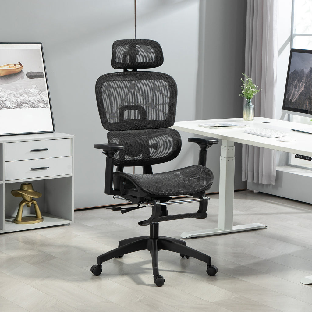 Multi-Adjustable Mesh Office Chair - Black