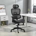 Multi-Adjustable Mesh Office Chair - Black