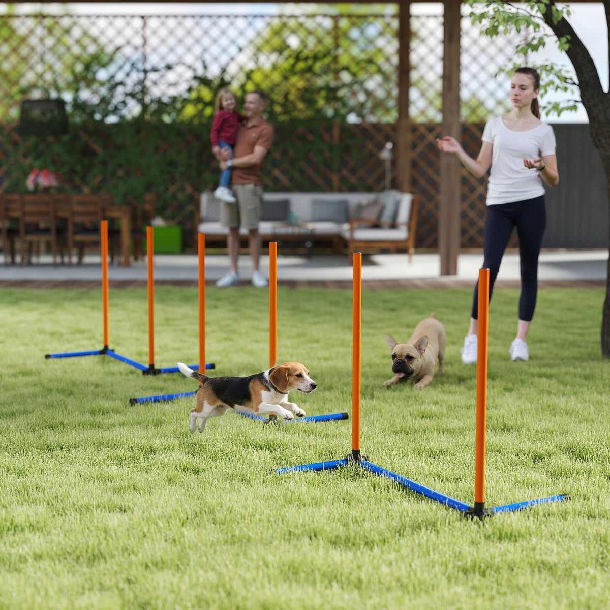 Agility Set Hunde 3-teiliges Agility Ausrüstung mit Slalomstangen Tragetasche Trainingsset für alle Hundegrößen Orange