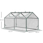 Mini Greenhouse Portable Flower Planter Vegetable Grow House for Garden with Zipped Windows, 120 x 60 x 60 cm, Clear