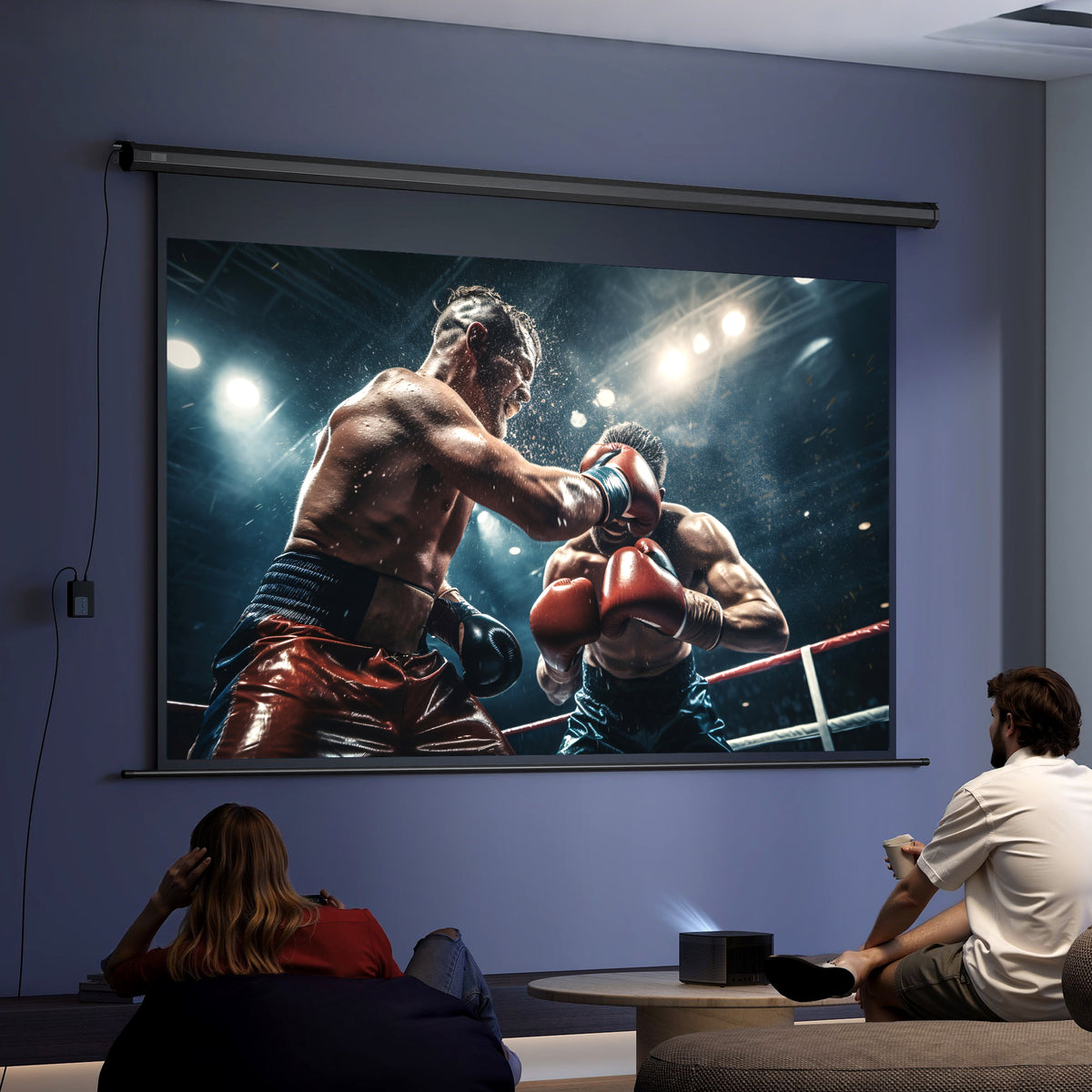 Beamer-Leinwand Elektrisch 266 x 149 cm 16:9, Metall Schwarz