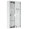  4 Tier Stainless Steel Wall Mounted Medicine Cabinet Glass Lockable Door Storage Shelves Houseware Bathroom Furniture 60Hx30Wx12D(cm) w/2 Keys