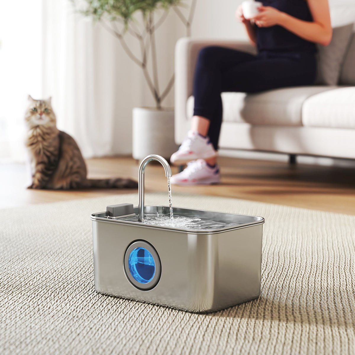 Katzenbrunnen 3,2L Trinkbrunnen für Katzen mit leiser Pumpe Aktivkohlefilter