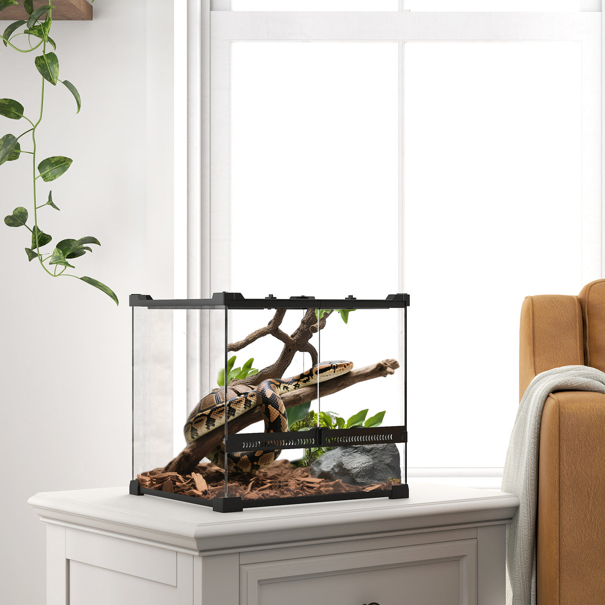 Glas-Terrarium f¨¹r Reptilien, erh?hter & wasserdichter Boden, Knopfschloss