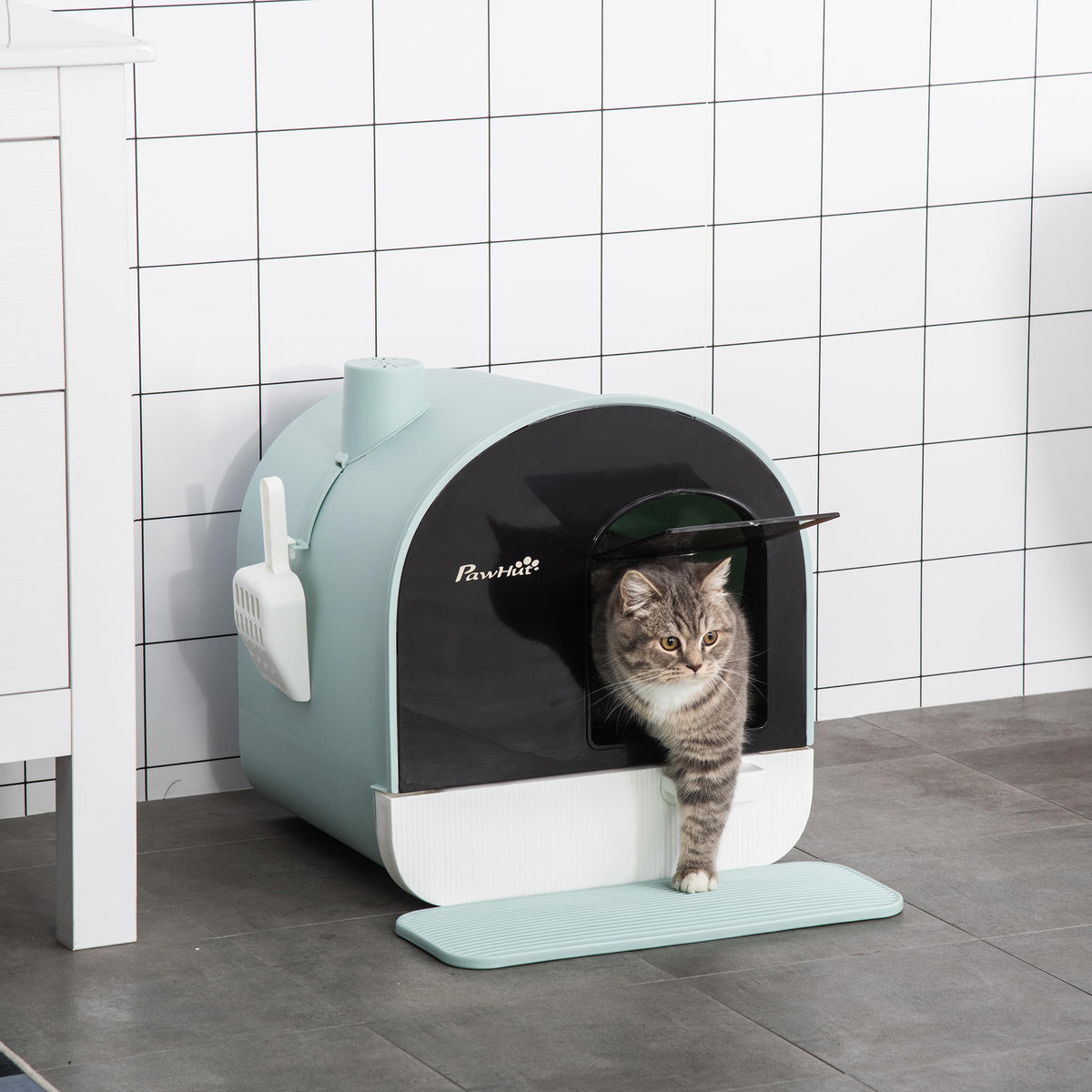 Hooded Cat Litter Box, Kitten Litter Tray, with Lid, Scoop, Filter, Flap Door