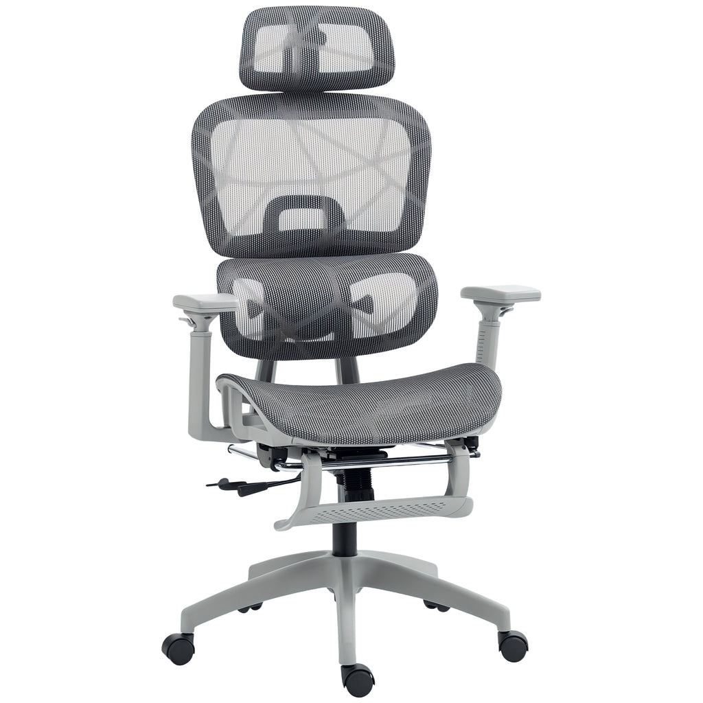 Multi-Adjustable Mesh Office Chair - Grey