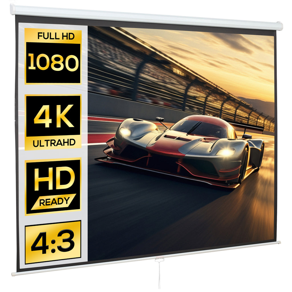 Beamer Leinwand 244 x 183 cm 120 Zoll 4:3/ 16:9 Projektionsleinwand Manuell f¨¹r Heimkino